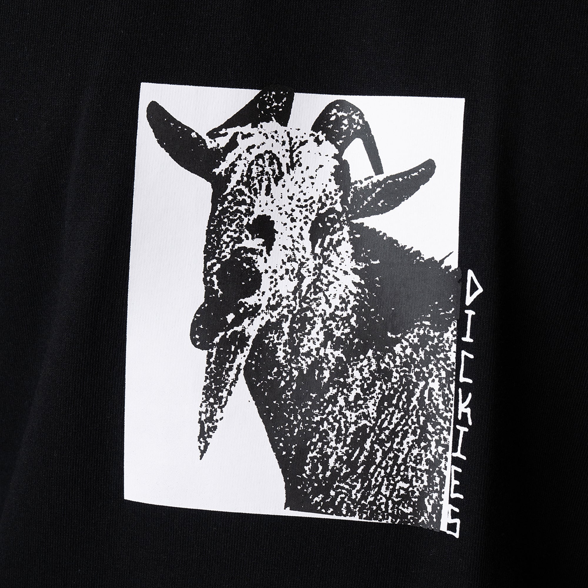 DK0A8672BLK-A8.jpg