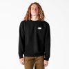 Dickies Skateboarding Pool Drainage Graphic Sweatshirt